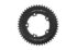 carbon ti chainring x-singlecarbon 5 arms